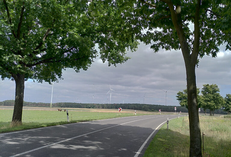 Das war unsere Landratswahl: