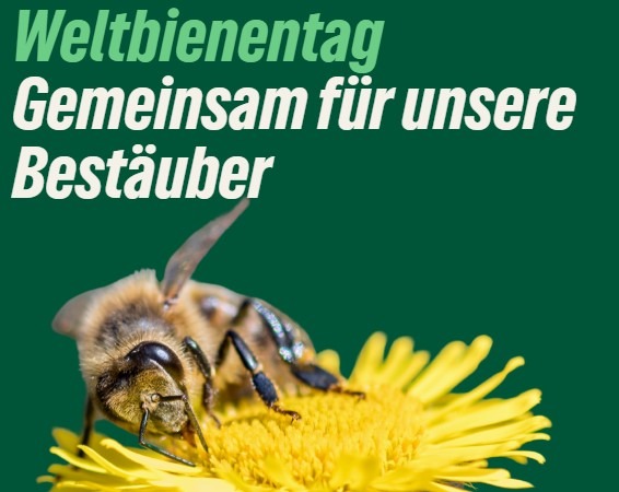 Weltbienentag – Gemeinsam für unsere Bestäuber